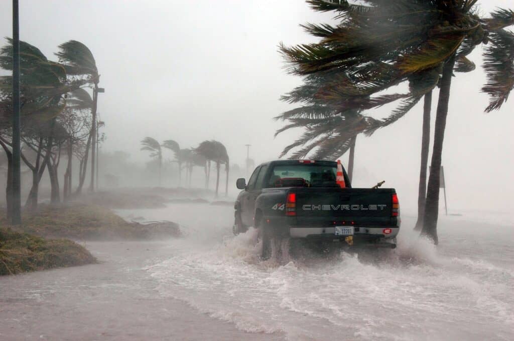 hurricane prep guide